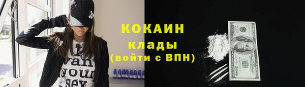 spice Алексин