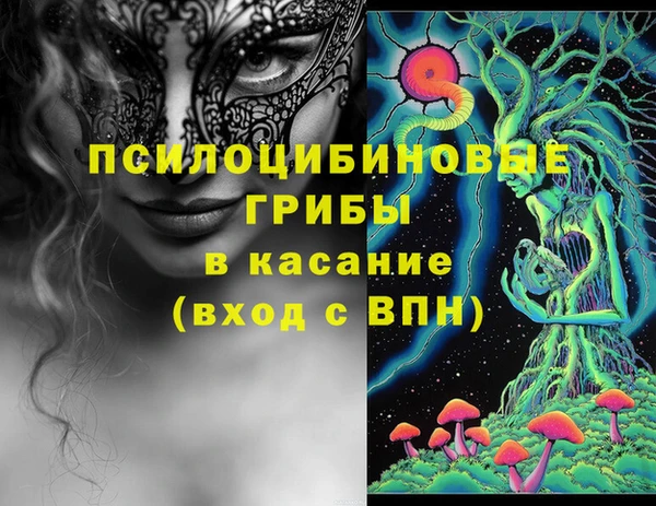 первитин Михайлов