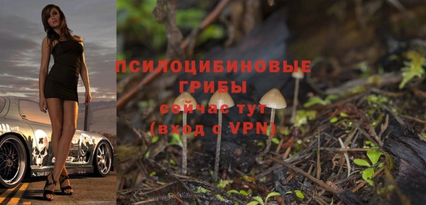 spice Алексин