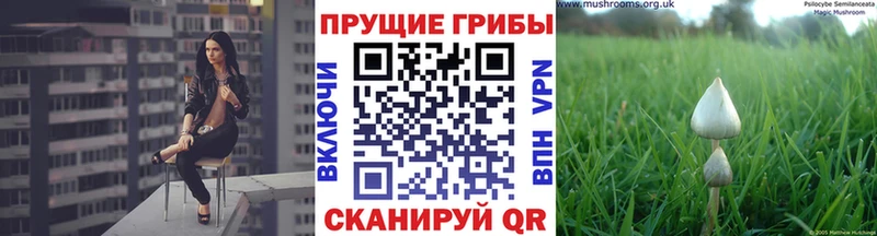 Псилоцибиновые грибы ЛСД  магазин  наркотиков  Арамиль 